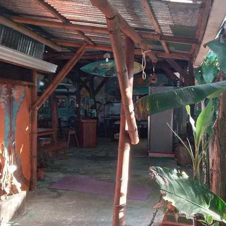 Osa Surf House 호텔 Puerto Jiménez 외부 사진