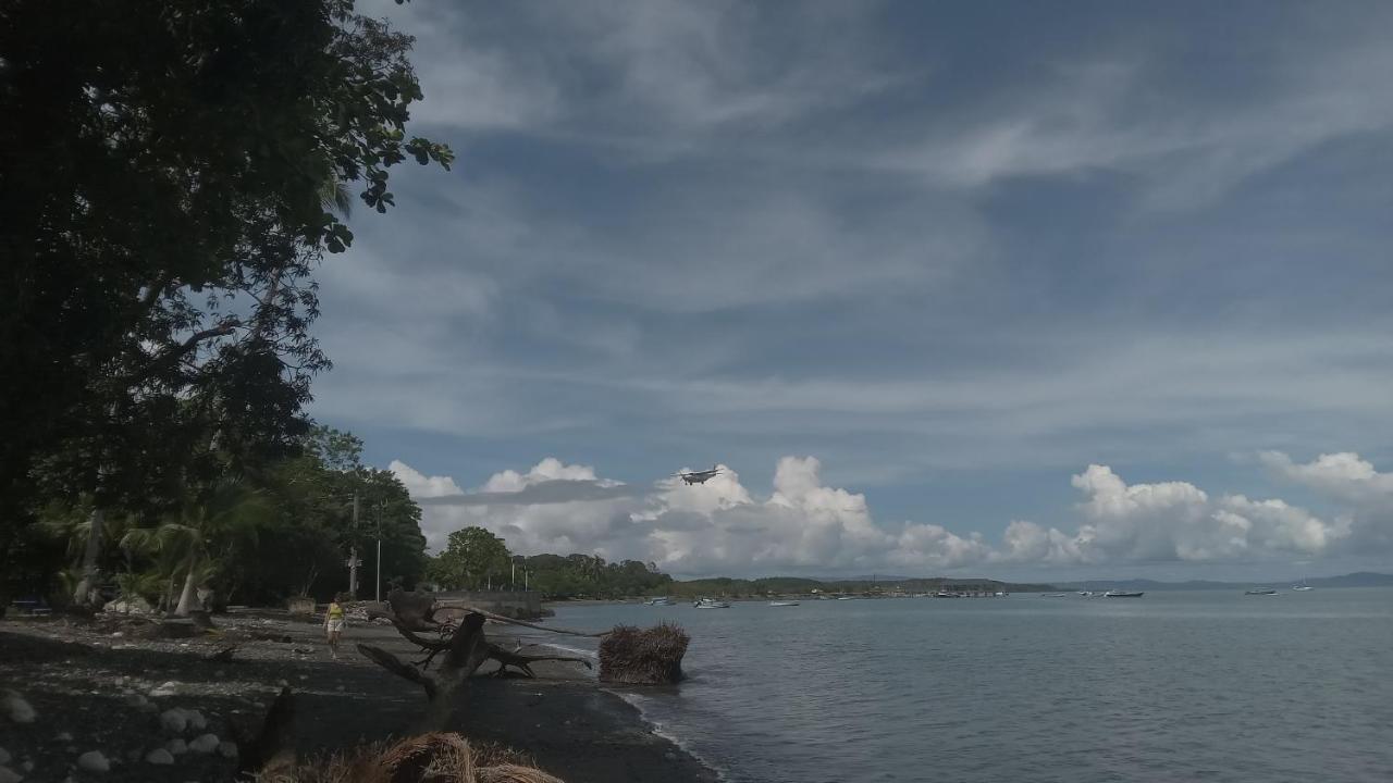 Osa Surf House 호텔 Puerto Jiménez 외부 사진