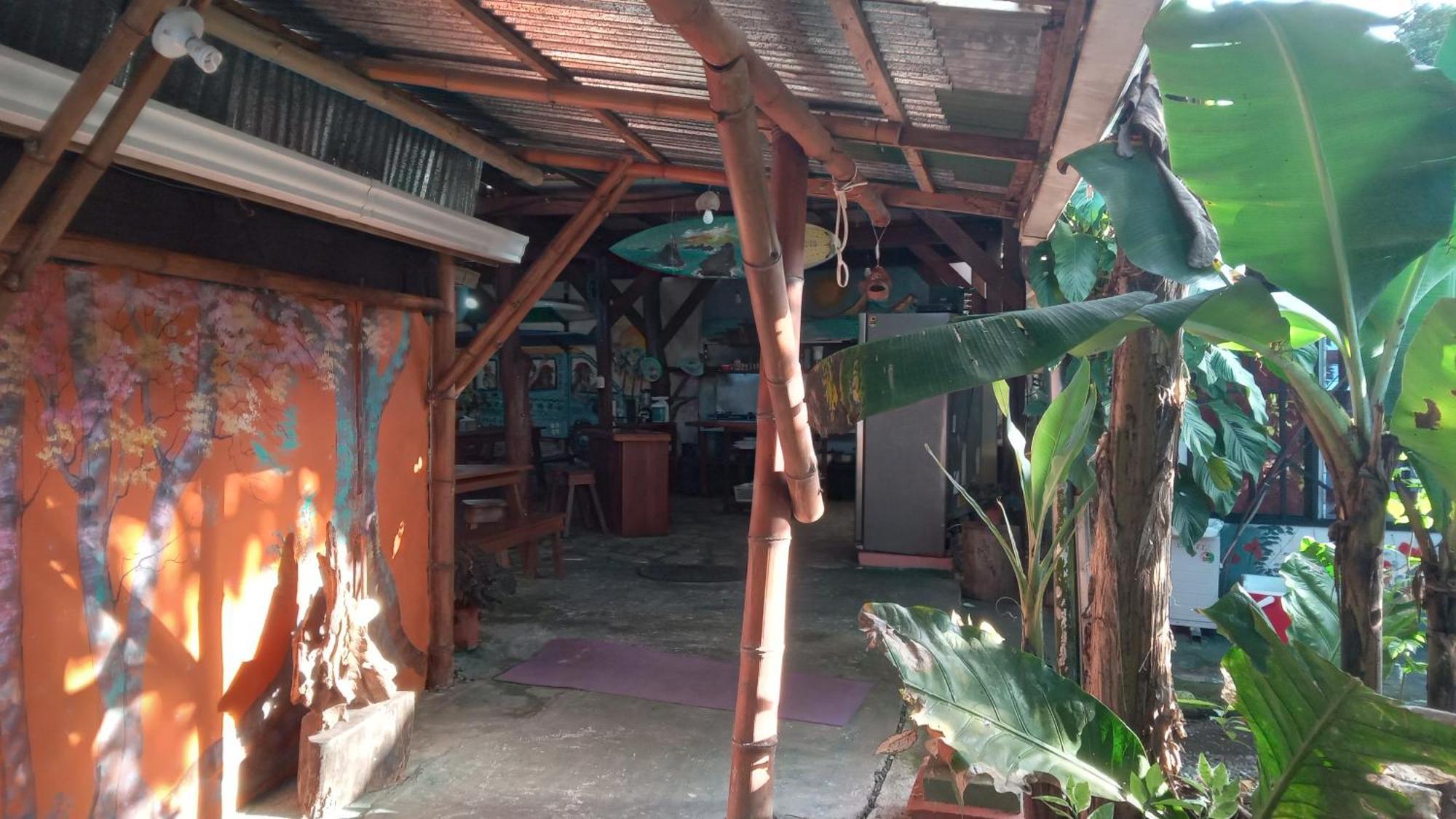 Osa Surf House 호텔 Puerto Jiménez 외부 사진